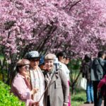 Qingming_Fest_Drives_Surge_in_China_s_Travel__Consumer_Trends
