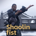 Shaolin_Kung_Fu_Unveils_Timeless_Power_in_Modern_Era video poster