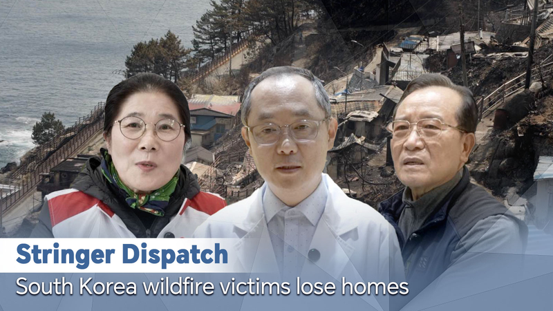 South_Korea_Wildfires__Unprecedented_Crisis_Destroys_Homes__Heritage video poster