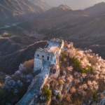 Spring_Blooms_Transform_Great_Wall_s_Jiankou_Section_into_Floral_Wonderland