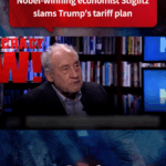Stiglitz_Criticizes_Trump_Tariff_Plan_s_Economic_Impact video poster