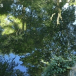 Suzhou_Gardens__Nature_s_Harmony_in_Urban_Oasis - Khabar Asia Suzhou_Gardens__Nature_s_Harmony_in_Urban_Oasis