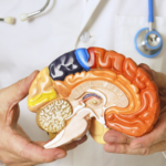 World Parkinson’s Day 2024: Understanding Symptoms, Risks, and Hope