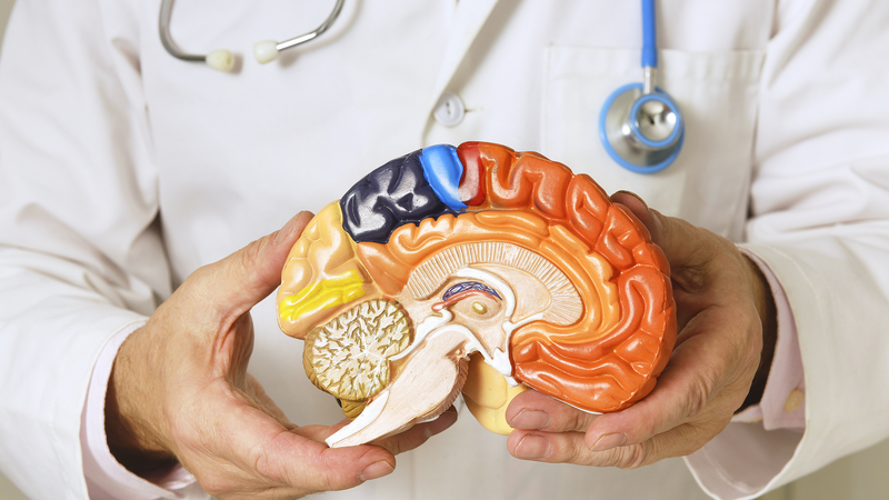 World Parkinson’s Day 2024: Understanding Symptoms, Risks, and Hope