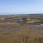 Tiaozini_Wetlands__Where_Conservation_Fuels_Economic_Growth - Khabar Asia Tiaozini_Wetlands__Where_Conservation_Fuels_Economic_Growth