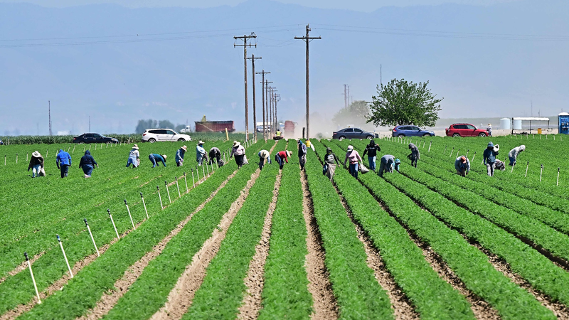 U_S__Farmers_Face__National_Travesty__as_Tariff_Fallout_Deepens - Khabar Asia U_S__Farmers_Face__National_Travesty__as_Tariff_Fallout_Deepens