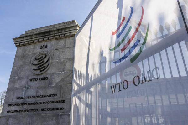WTO Steps In Amid Rising Trade Tensions and Market Turmoil WTO_Steps_In_Amid_Rising_Trade_Tensions_and_Market_Turmoil