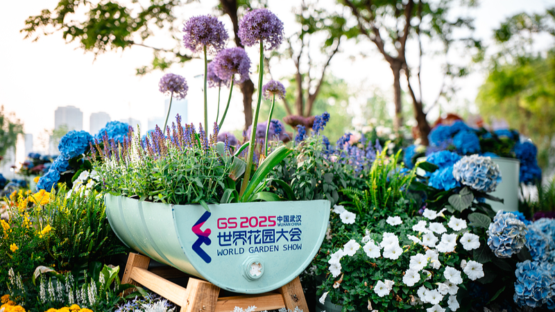 Wuhan_Blossoms_as_Host_of_2025_World_Garden_Show - Khabar Asia Wuhan_Blossoms_as_Host_of_2025_World_Garden_Show