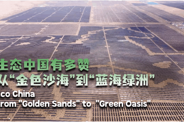 China’s Kubuqi Desert Transforms into Solar-Powered Green Oasis China’s Kubuqi Desert Transforms into Solar-Powered Green Oasis video poster