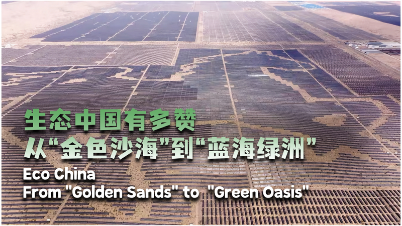 China’s Kubuqi Desert Transforms into Solar-Powered Green Oasis video poster
