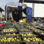 7MG617KK5P3WJTZ8GRIQ - Khabar Asia Guilin’s Trade Boom: Beyond Tourism, a Story of Resilience