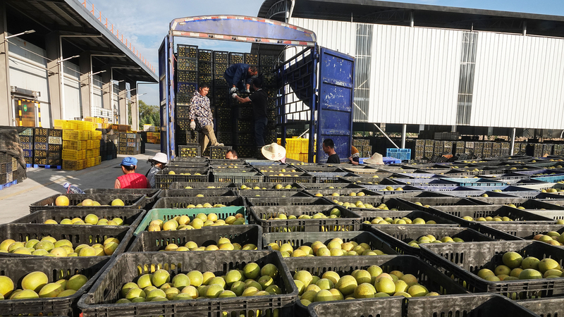 Guilin’s Trade Boom: Beyond Tourism, a Story of Resilience