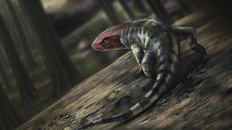 Ancient Reptile Footprints Redefine Land Evolution Timeline Ancient_Reptile_Footprints_Redefine_Land_Evolution_Timeline