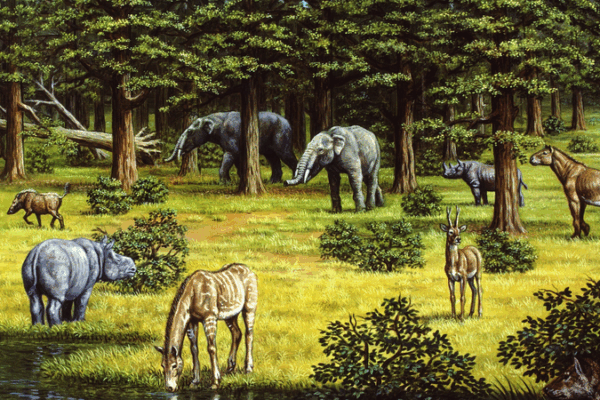 Ancient Vegetation Shifts Accelerated Climate Changes, Study Reveals Ancient_Vegetation_Shifts_Accelerated_Climate_Changes__Study_Reveals