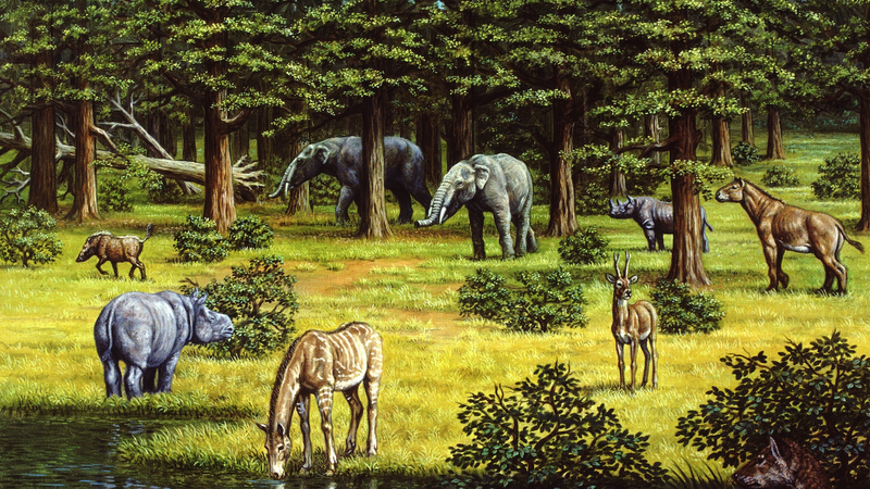 Ancient_Vegetation_Shifts_Accelerated_Climate_Changes__Study_Reveals