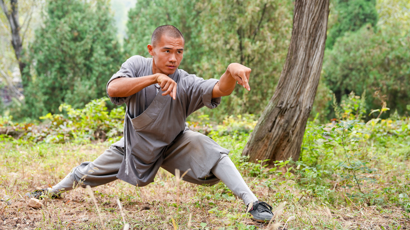 Animal_Inspired_Kung_Fu_Reveals_China_s_Ancient_Martial_Wisdom - Khabar Asia Animal_Inspired_Kung_Fu_Reveals_China_s_Ancient_Martial_Wisdom