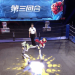 BI83C8Q1MMZ87WR2OCR9 - Khabar Asia China Debuts World’s First Humanoid Robot Combat Arena