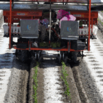 BeiDou_Powers_High_Tech_Tomato_Farming_in_Xinjiang_poster - Khabar Asia BeiDou_Powers_High_Tech_Tomato_Farming_in_Xinjiang video poster