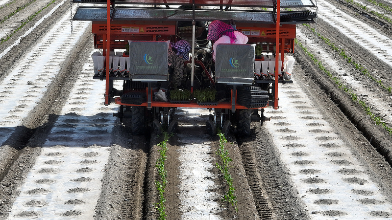 BeiDou_Powers_High_Tech_Tomato_Farming_in_Xinjiang video poster