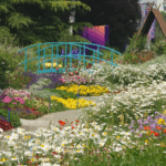 Beijing_s_Haidian_Park_Blooms_into_Living_Monet_Masterpiece