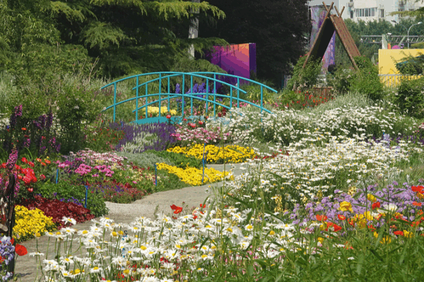 Beijing’s Haidian Park Blooms into Living Monet Masterpiece Beijing_s_Haidian_Park_Blooms_into_Living_Monet_Masterpiece