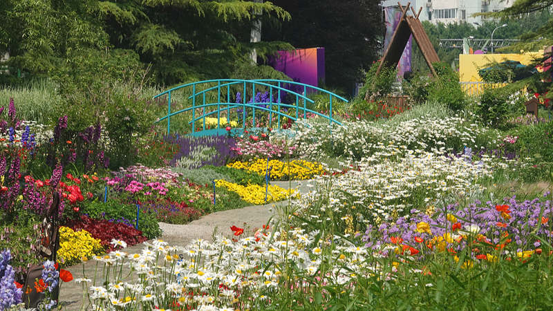 Beijing_s_Haidian_Park_Blooms_into_Living_Monet_Masterpiece - Khabar Asia Beijing_s_Haidian_Park_Blooms_into_Living_Monet_Masterpiece