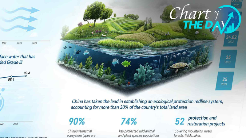 China_Advances_Biodiversity_Goals_with_30__Land_Under_Protection