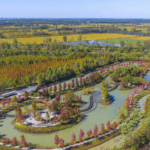 China_Establishes_903_National_Wetland_Parks_in_20_Years