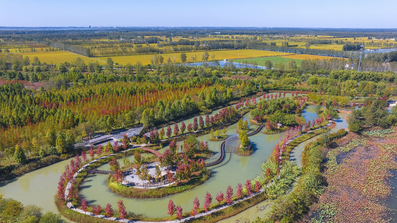 China_Establishes_903_National_Wetland_Parks_in_20_Years - Khabar Asia China_Establishes_903_National_Wetland_Parks_in_20_Years