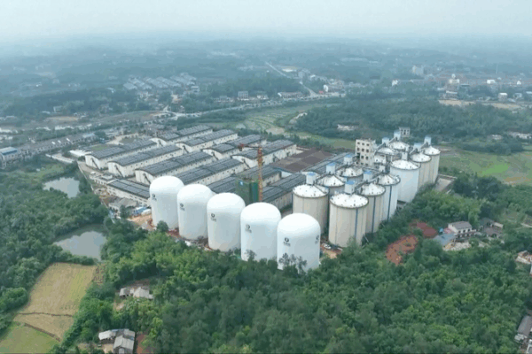 China Unveils Next-Gen Pneumatic Grain Silos to Boost Food Security China_Unveils_Next_Gen_Pneumatic_Grain_Silos_to_Boost_Food_Security video poster