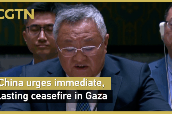 China Urges Immediate, Lasting Ceasefire in Gaza China_Urges_Immediate__Lasting_Ceasefire_in_Gaza video poster