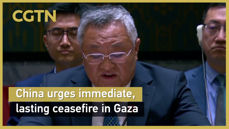 China_Urges_Immediate__Lasting_Ceasefire_in_Gaza video poster