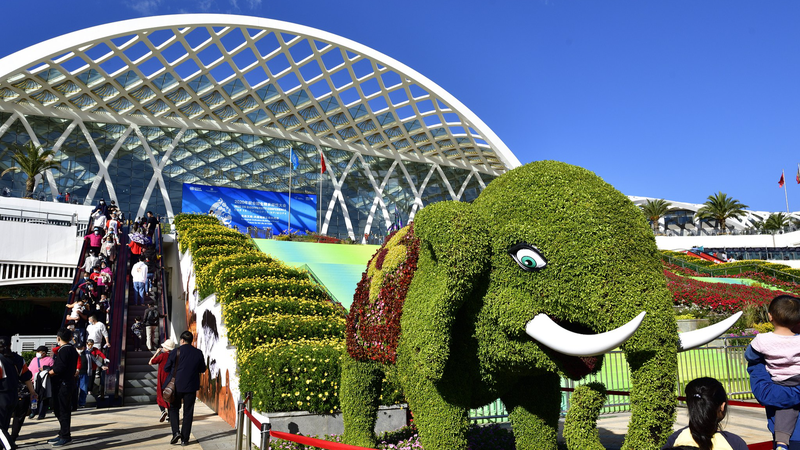 China_s_Green_Energy_Push_Powers_Global_Sustainability_Goals