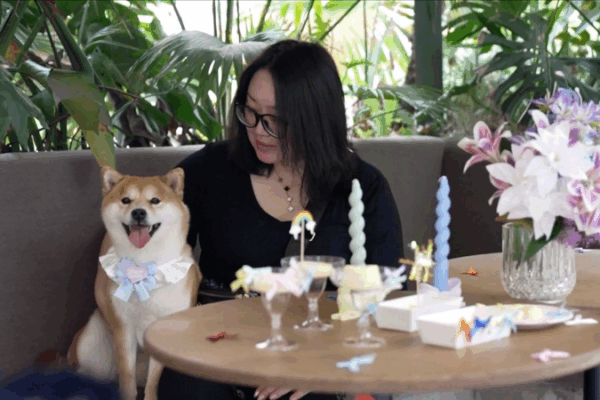 China’s Pet Economy Surges: Dog Restaurants and Day Care Redefine Pet Care China_s_Pet_Economy_Surges__Dog_Restaurants_and_Day_Care_Redefine_Pet_Care video poster