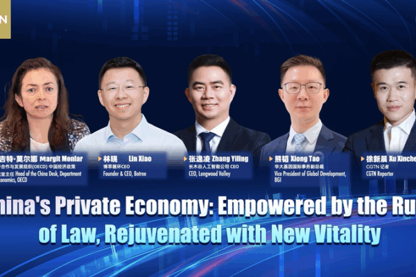 China’s Private Sector Law Sparks Global Business Interest China_s_Private_Sector_Law_Sparks_Global_Business_Interest video poster
