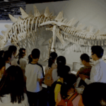 Chinese_Museums_Embrace_STEAM__Culture_in_Hands_On_Workshops_poster - Khabar Asia Chinese_Museums_Embrace_STEAM__Culture_in_Hands_On_Workshops video poster