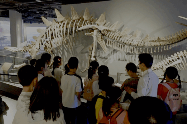Chinese Museums Embrace STEAM, Culture in Hands-On Workshops Chinese_Museums_Embrace_STEAM__Culture_in_Hands_On_Workshops video poster