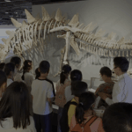 Chinese_Museums_Reimagine_Education_Through_Interactive_Learning_poster - Khabar Asia Chinese_Museums_Reimagine_Education_Through_Interactive_Learning video poster