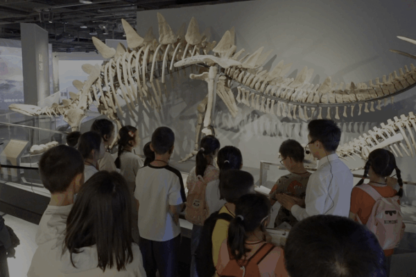 Chinese Museums Reimagine Education Through Interactive Learning Chinese_Museums_Reimagine_Education_Through_Interactive_Learning video poster