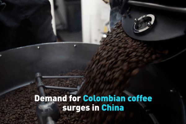 Colombian Coffee Brews New Trade Ties with China During Presidential Visit Colombian_Coffee_Brews_New_Trade_Ties_with_China_During_Presidential_Visit video poster