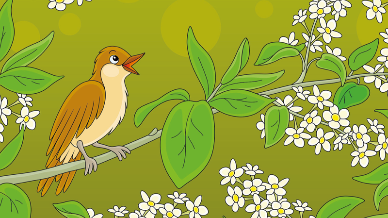 Danish_Fairy_Tale__The_Nightingale__Explores_Chinese_Themes_of_Nature___Authenticity - Khabar Asia Danish_Fairy_Tale__The_Nightingale__Explores_Chinese_Themes_of_Nature___Authenticity