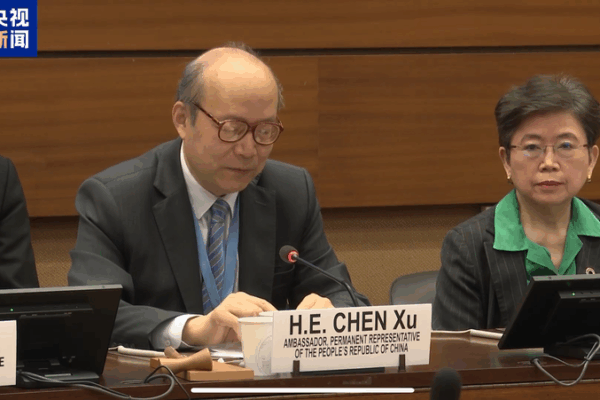 Developing Nations Unite to Tackle Global Trade Tensions Developing_Nations_Unite_to_Tackle_Global_Trade_Tensions