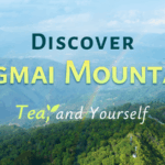 Discover_Jingmai_Mountain__Where_Ancient_Tea_Culture_Meets_Serenity_poster - Khabar Asia Discover_Jingmai_Mountain__Where_Ancient_Tea_Culture_Meets_Serenity video poster