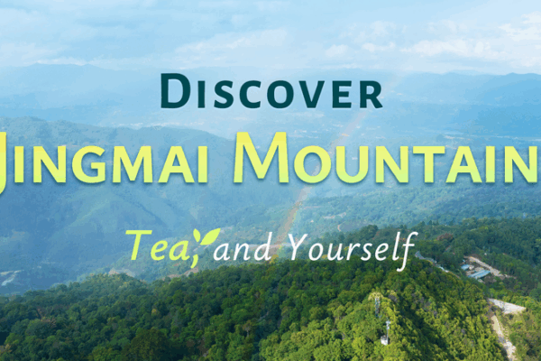 Discover Jingmai Mountain: Where Ancient Tea Culture Meets Serenity Discover_Jingmai_Mountain__Where_Ancient_Tea_Culture_Meets_Serenity video poster