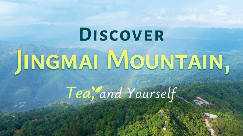 Discover_Jingmai_Mountain__Where_Ancient_Tea_Culture_Meets_Serenity video poster