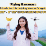 Drones_Revolutionize_Banana_Farming_in_Yunnan_s_Highlands_poster - Khabar Asia Drones_Revolutionize_Banana_Farming_in_Yunnan_s_Highlands video poster