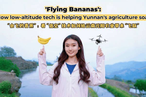 Drones Revolutionize Banana Farming in Yunnan’s Highlands Drones_Revolutionize_Banana_Farming_in_Yunnan_s_Highlands video poster