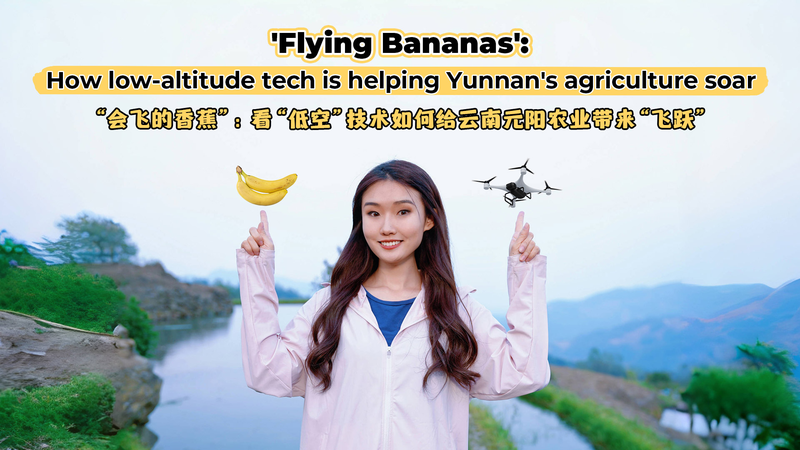 Drones_Revolutionize_Banana_Farming_in_Yunnan_s_Highlands_poster - Khabar Asia Drones_Revolutionize_Banana_Farming_in_Yunnan_s_Highlands video poster