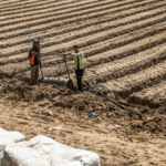Gaza_s_Farmland_Devastation__UN_Warns_of_Famine_Risks
