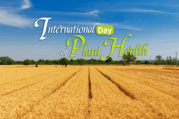 Global Crop Losses Highlight Urgency on International Day of Plant Health Global_Crop_Losses_Highlight_Urgency_on_International_Day_of_Plant_Health